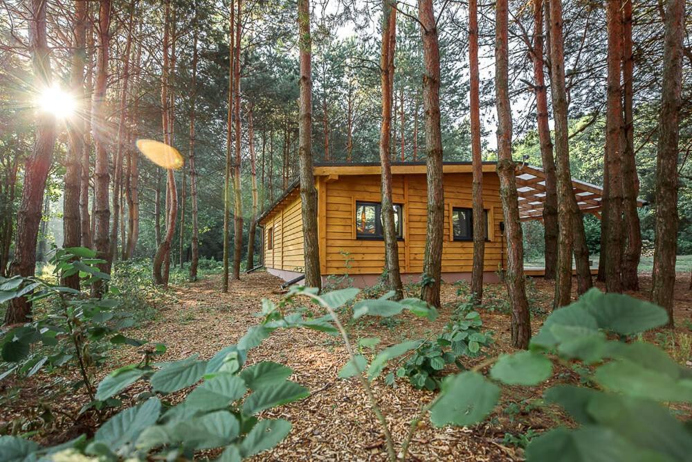 уліс дудки Ferienhaus